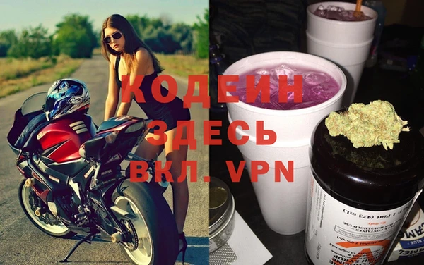 прущие грибы Новокубанск