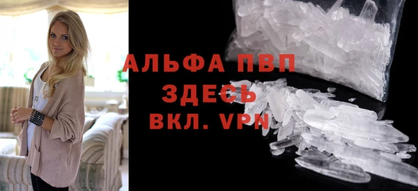 прущие грибы Новокубанск