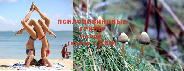 герыч Новозыбков