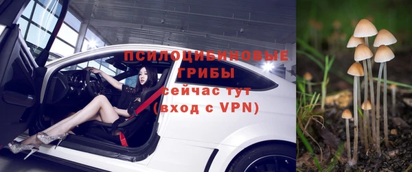 герыч Новозыбков